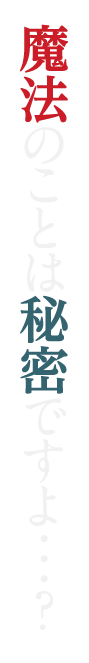 魔法のことは秘密ですよ・・・？